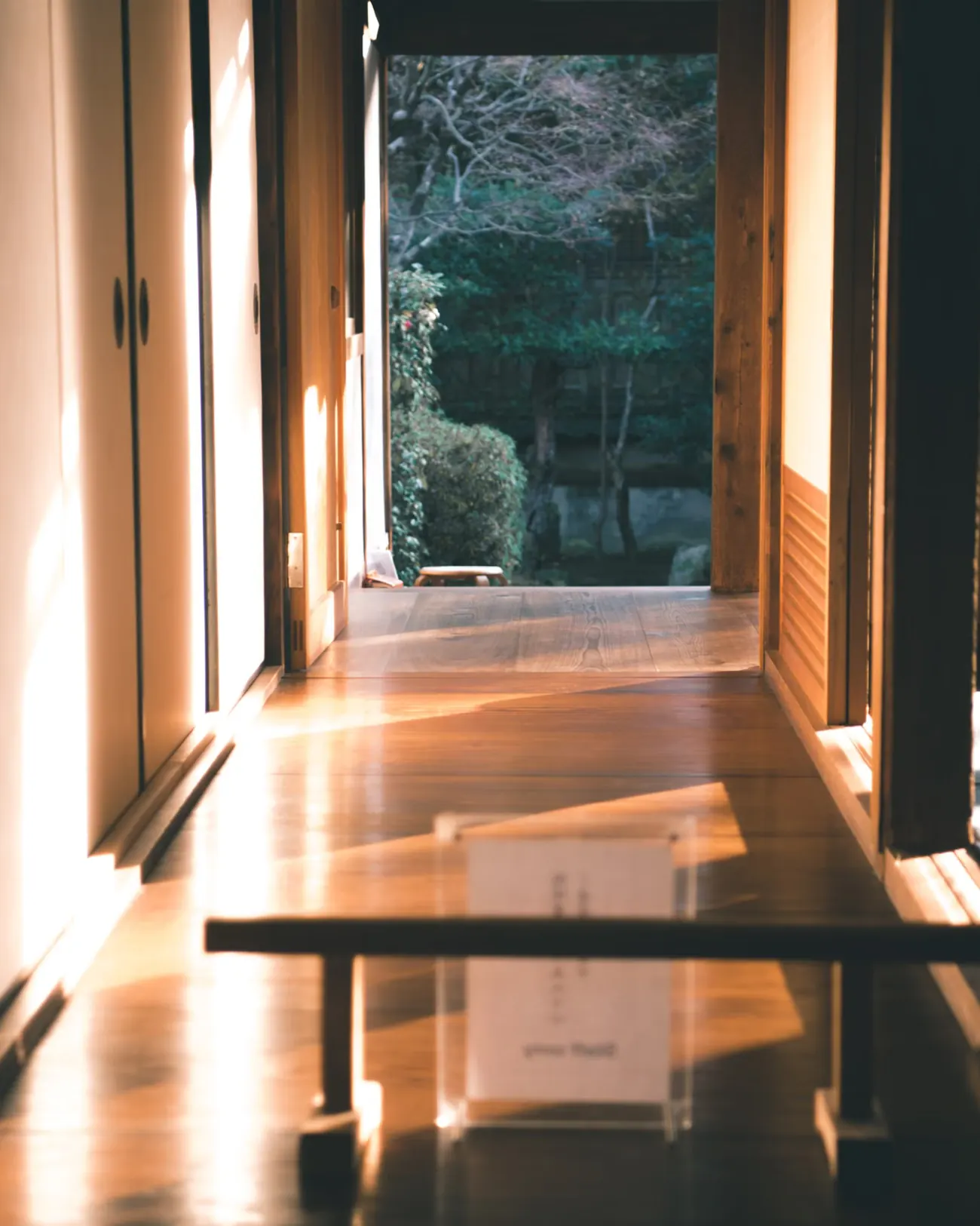 通りに面した建物の一階の入口。ガラス戸の中まで日が差している